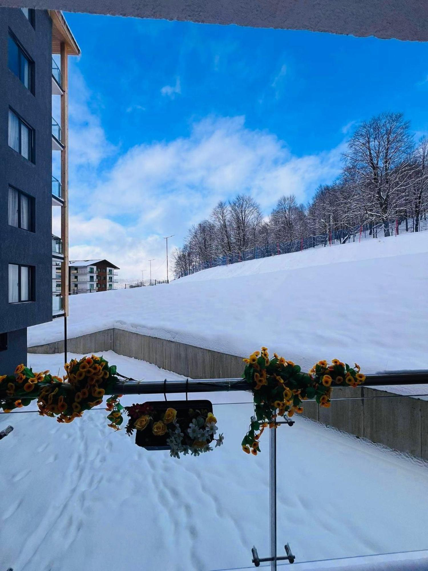 Crystal Wood 213 Daire