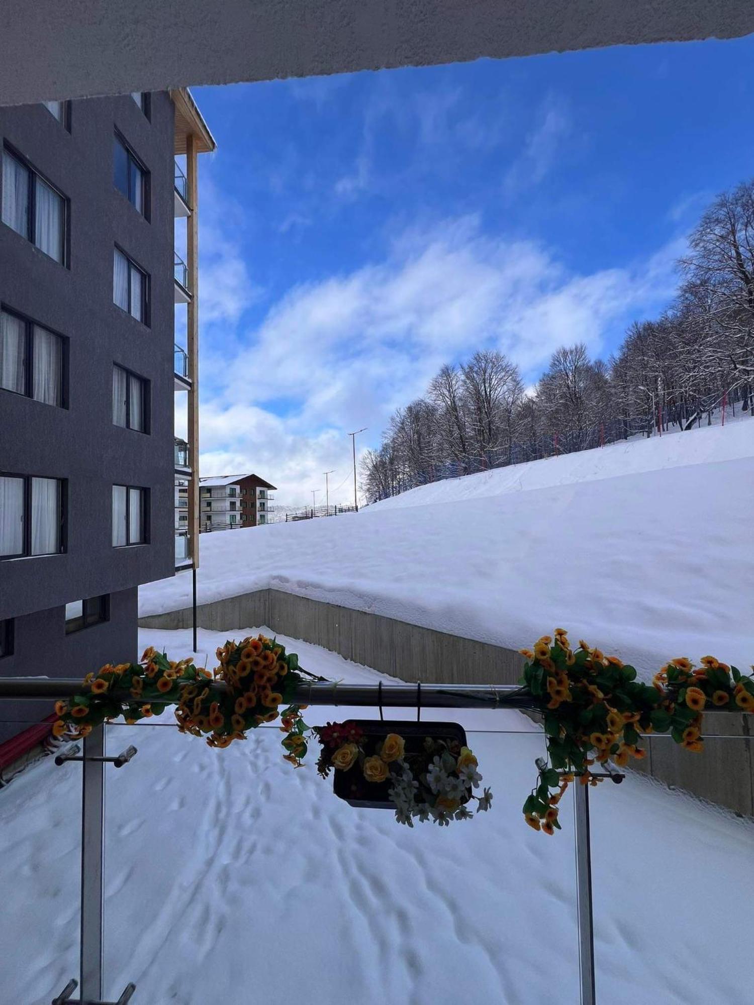 Crystal Wood 213 Daire